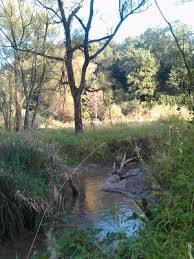 Rezerwat przyrody Bobry w Uhercach